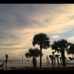 Meet your Posher, Jenya